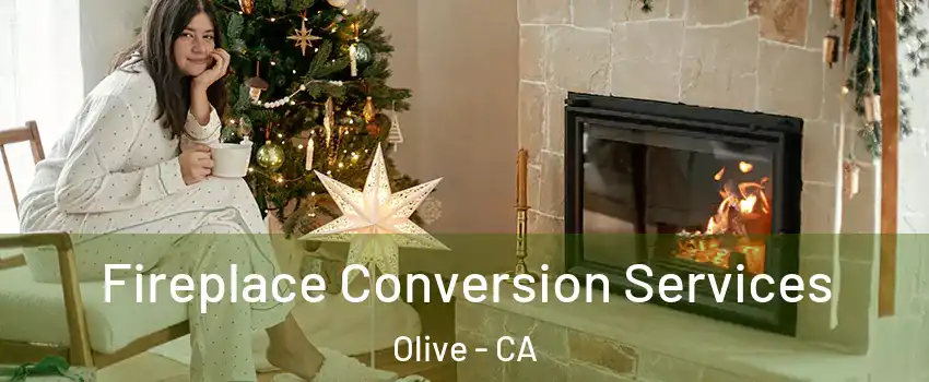 Fireplace Conversion Services Olive - CA