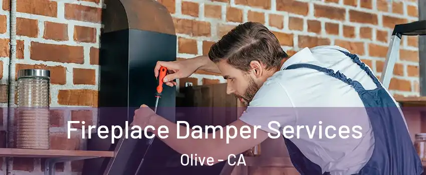 Fireplace Damper Services Olive - CA