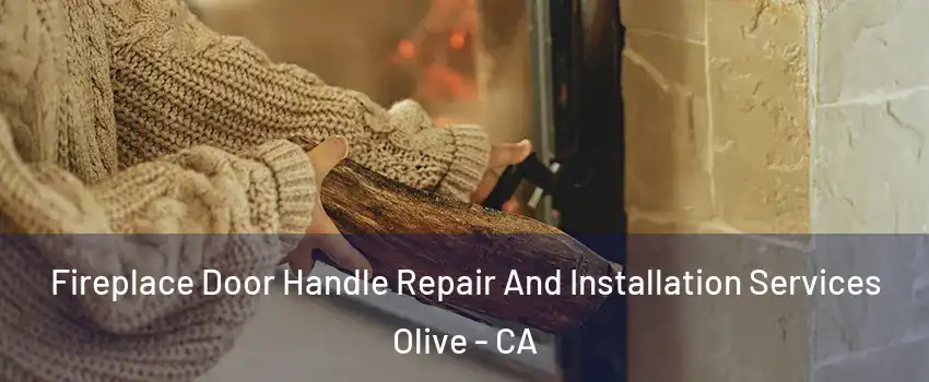 Fireplace Door Handle Repair And Installation Services Olive - CA