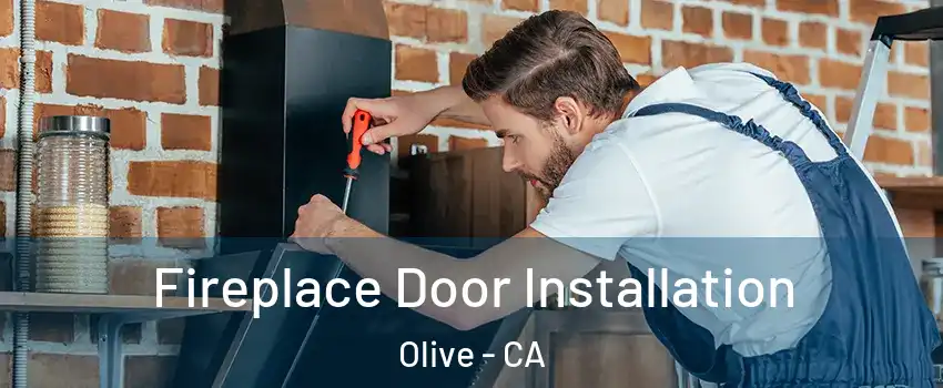 Fireplace Door Installation Olive - CA