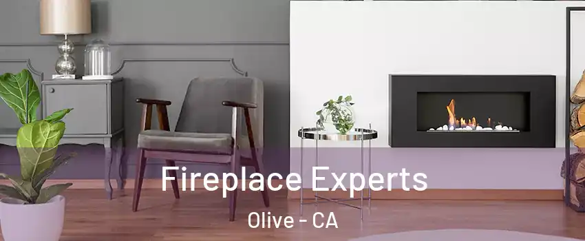 Fireplace Experts Olive - CA