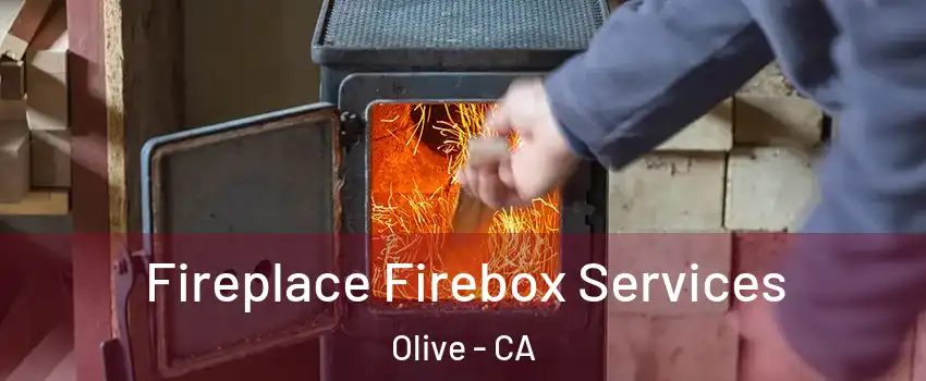 Fireplace Firebox Services Olive - CA