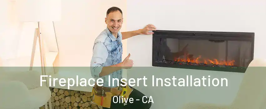 Fireplace Insert Installation Olive - CA