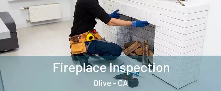 Fireplace Inspection Olive - CA