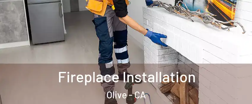 Fireplace Installation Olive - CA