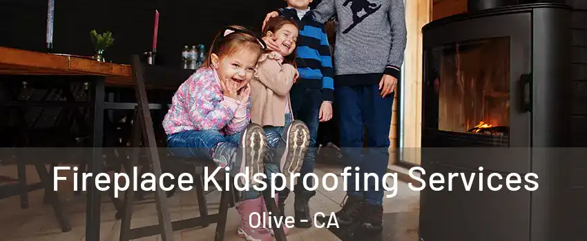 Fireplace Kidsproofing Services Olive - CA