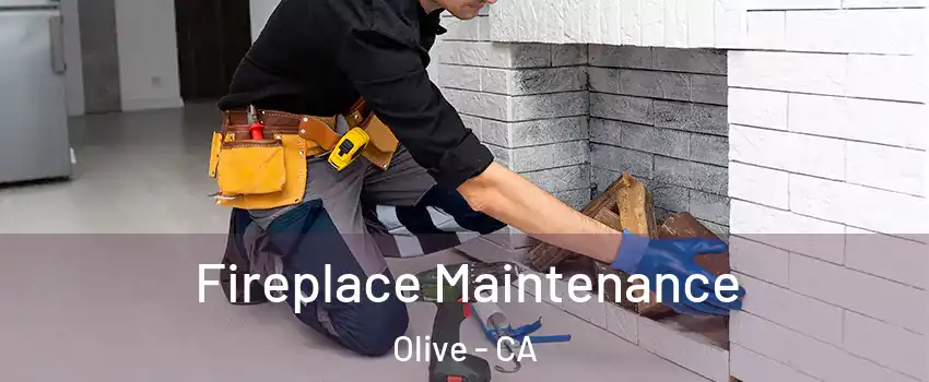 Fireplace Maintenance Olive - CA