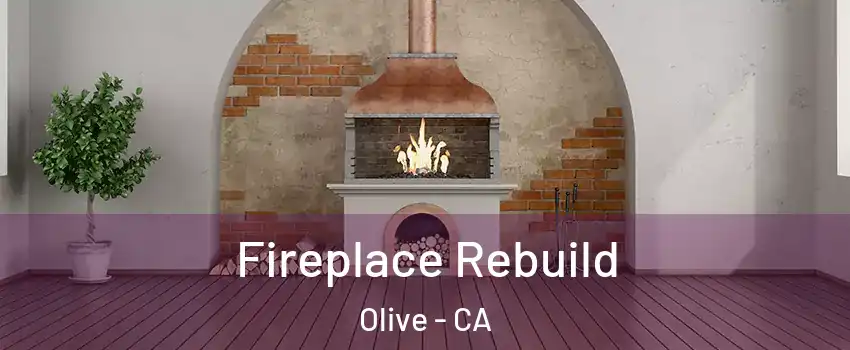 Fireplace Rebuild Olive - CA