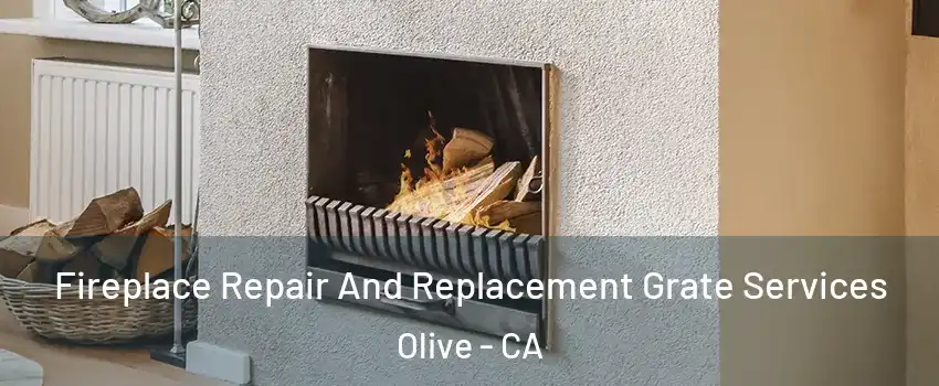 Fireplace Repair And Replacement Grate Services Olive - CA