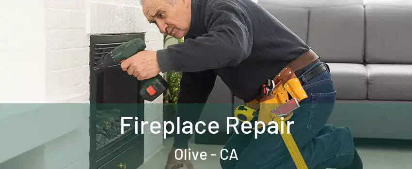 Fireplace Repair Olive - CA