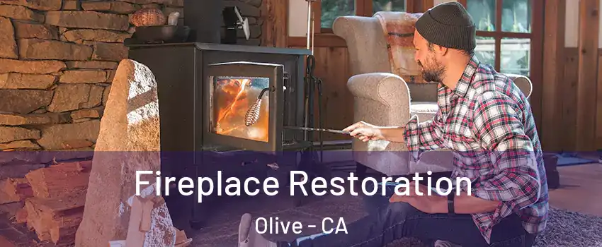 Fireplace Restoration Olive - CA