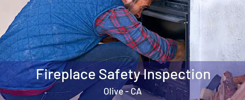 Fireplace Safety Inspection Olive - CA