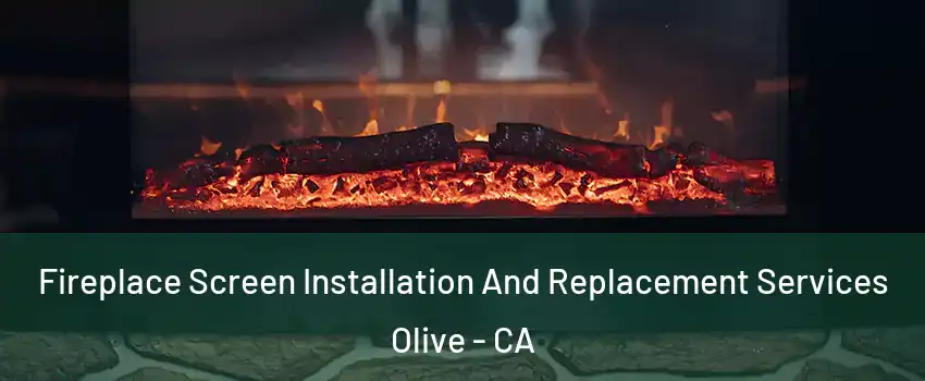 Fireplace Screen Installation And Replacement Services Olive - CA