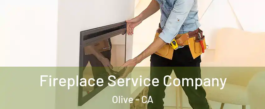 Fireplace Service Company Olive - CA