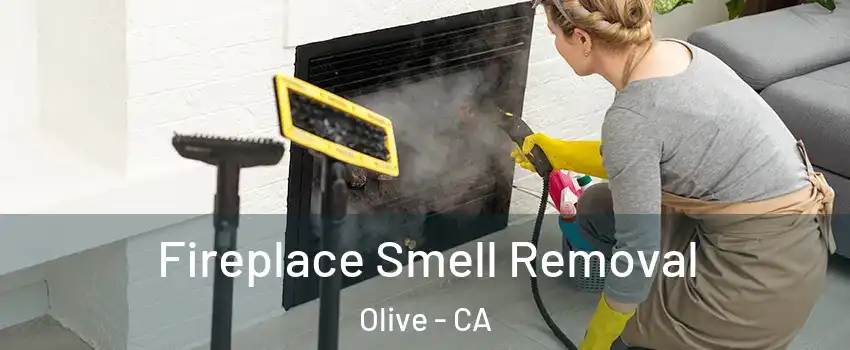 Fireplace Smell Removal Olive - CA