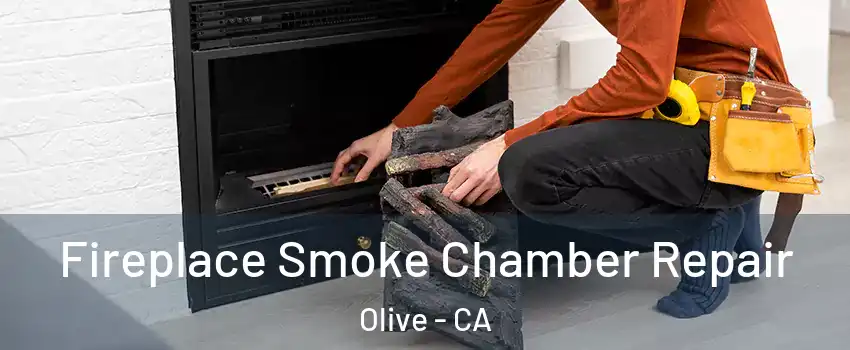 Fireplace Smoke Chamber Repair Olive - CA