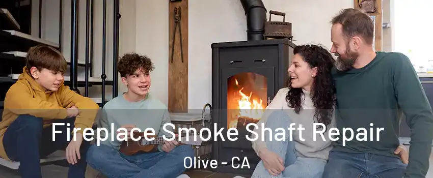 Fireplace Smoke Shaft Repair Olive - CA