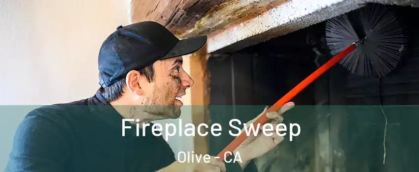 Fireplace Sweep Olive - CA