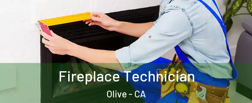 Fireplace Technician Olive - CA