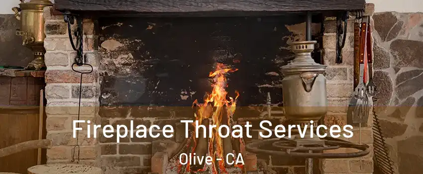 Fireplace Throat Services Olive - CA