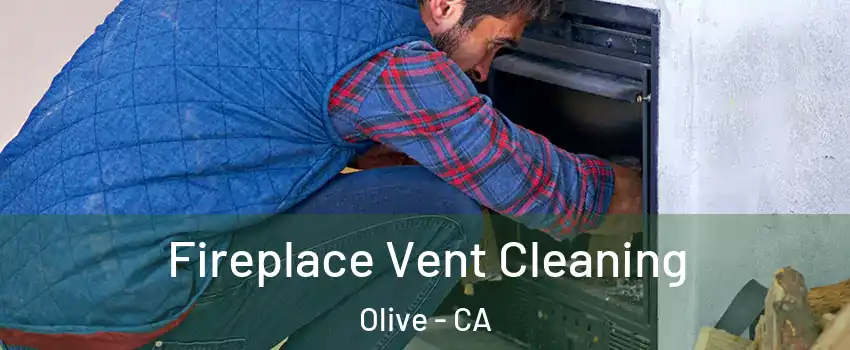 Fireplace Vent Cleaning Olive - CA