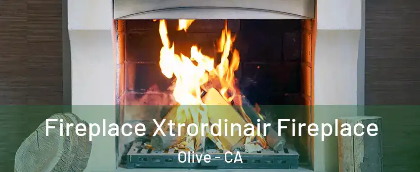 Fireplace Xtrordinair Fireplace Olive - CA