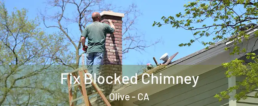 Fix Blocked Chimney Olive - CA