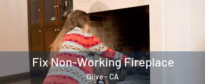 Fix Non-Working Fireplace Olive - CA