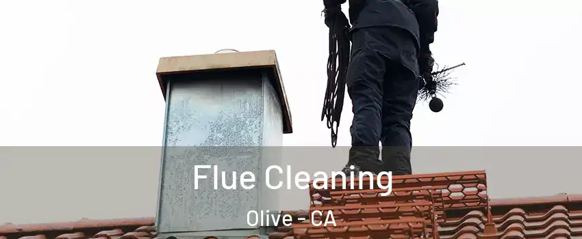 Flue Cleaning Olive - CA