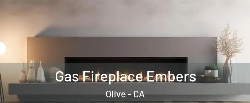 Gas Fireplace Embers Olive - CA