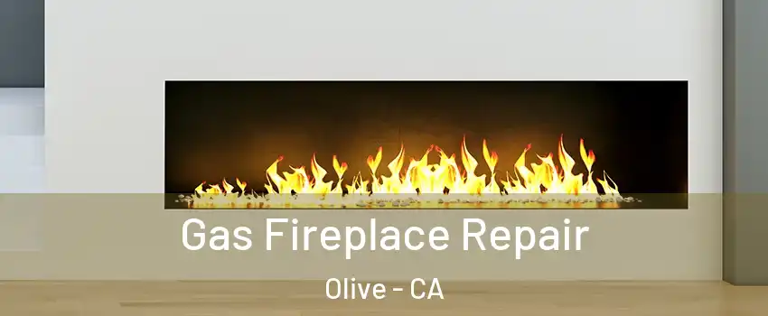 Gas Fireplace Repair Olive - CA