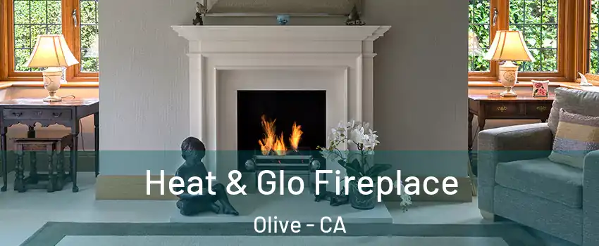 Heat & Glo Fireplace Olive - CA