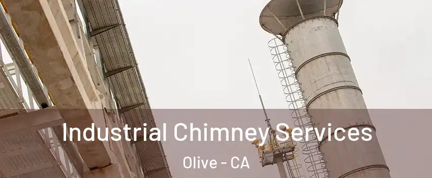 Industrial Chimney Services Olive - CA