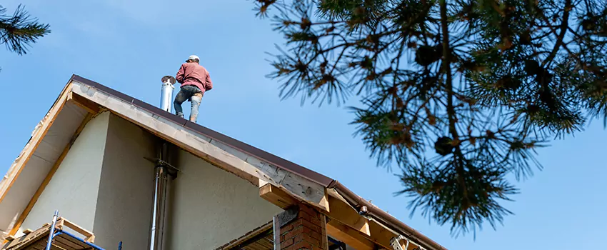 Birds Removal Contractors from Chimney in El Modena, CA