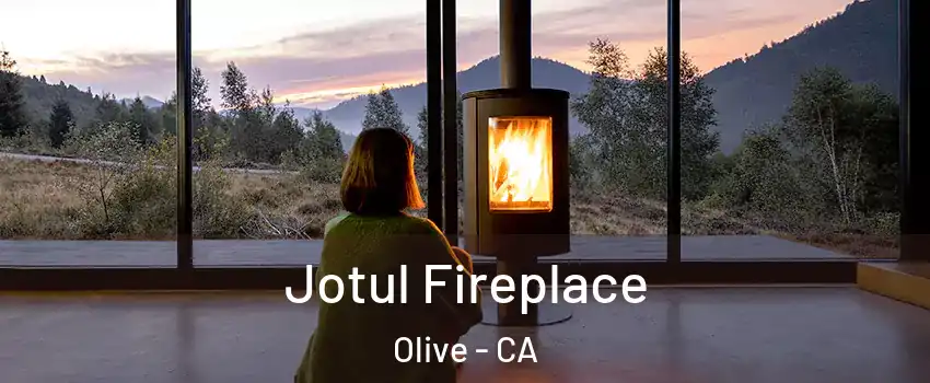 Jotul Fireplace Olive - CA