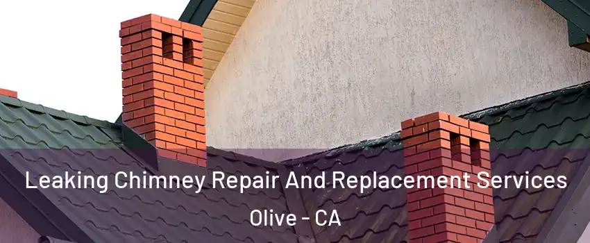 Leaking Chimney Repair And Replacement Services Olive - CA