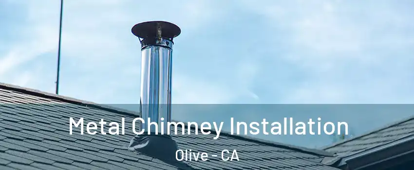 Metal Chimney Installation Olive - CA