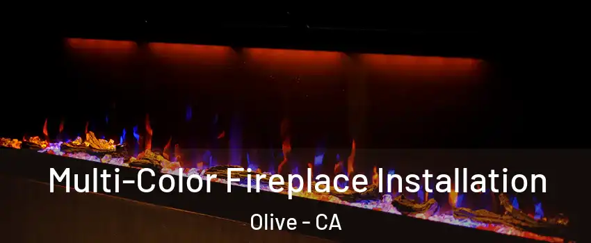 Multi-Color Fireplace Installation Olive - CA