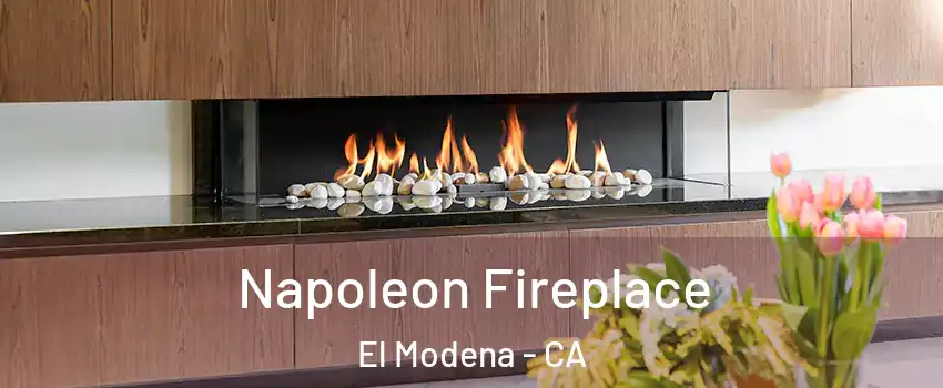 Napoleon Fireplace El Modena - CA