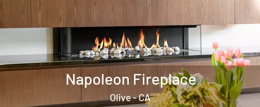 Napoleon Fireplace Olive - CA