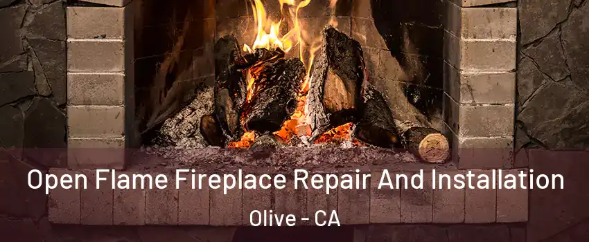 Open Flame Fireplace Repair And Installation Olive - CA