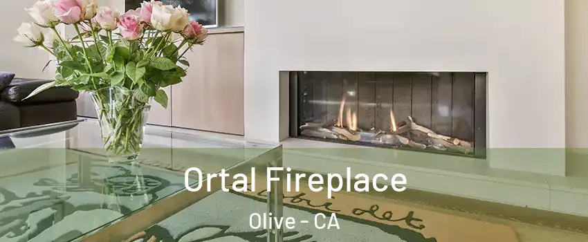 Ortal Fireplace Olive - CA