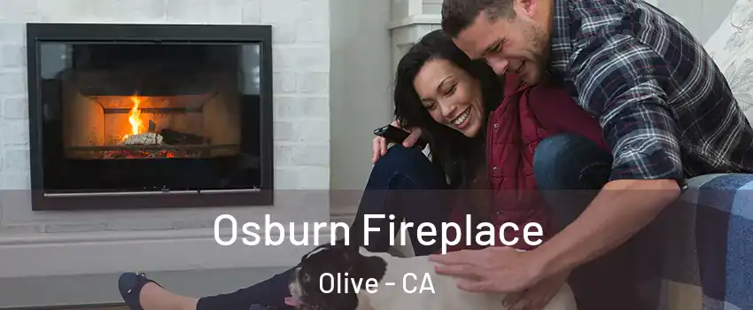 Osburn Fireplace Olive - CA