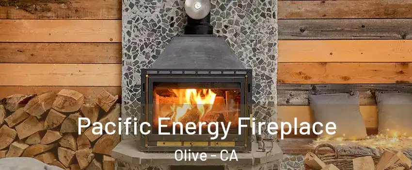 Pacific Energy Fireplace Olive - CA