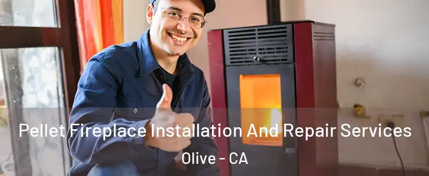 Pellet Fireplace Installation And Repair Services Olive - CA