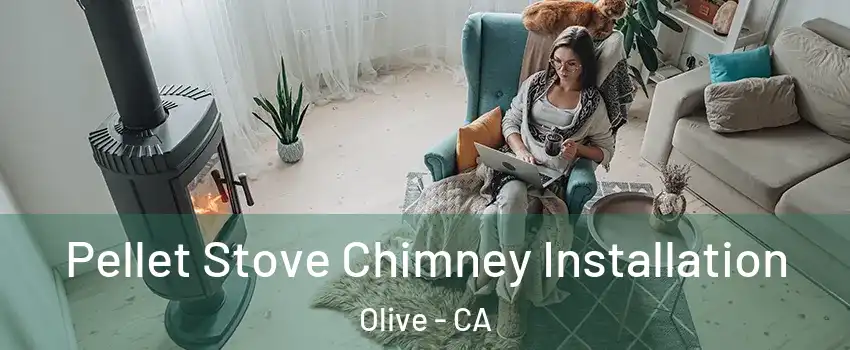 Pellet Stove Chimney Installation Olive - CA