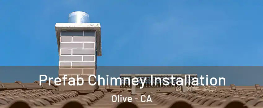 Prefab Chimney Installation Olive - CA