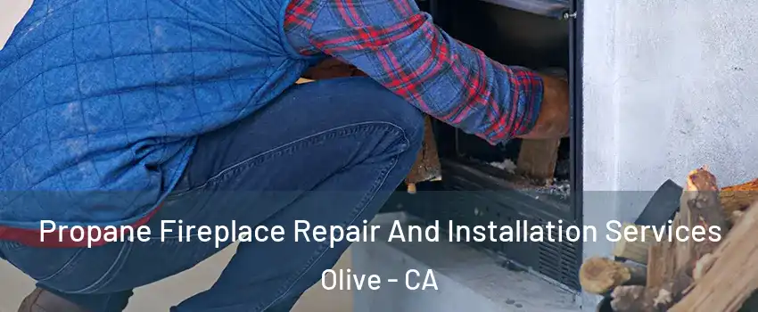 Propane Fireplace Repair And Installation Services Olive - CA