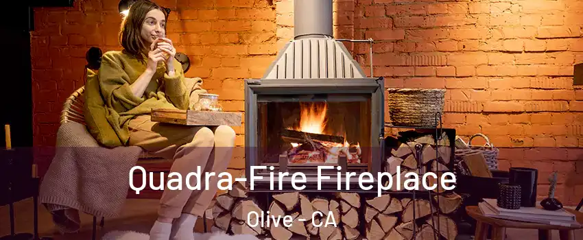 Quadra-Fire Fireplace Olive - CA