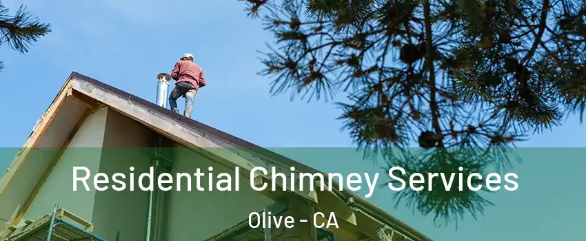 Residential Chimney Services Olive - CA